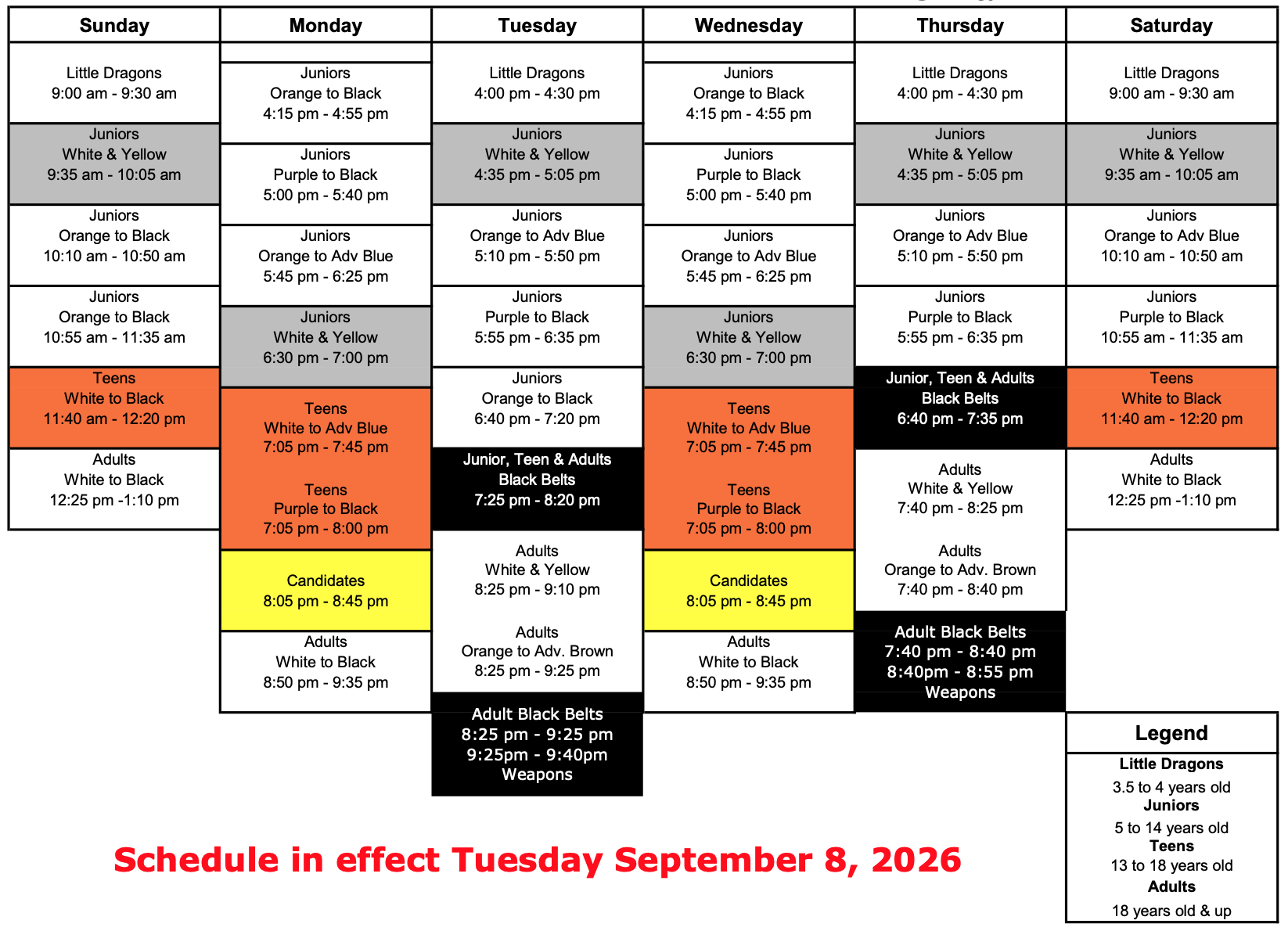 Energy Karate weekly class schedule showing Little Dragons, Junior, Teen, and Adult program times